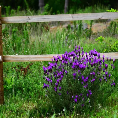 Casinha Rubiaes Paredes de Coura