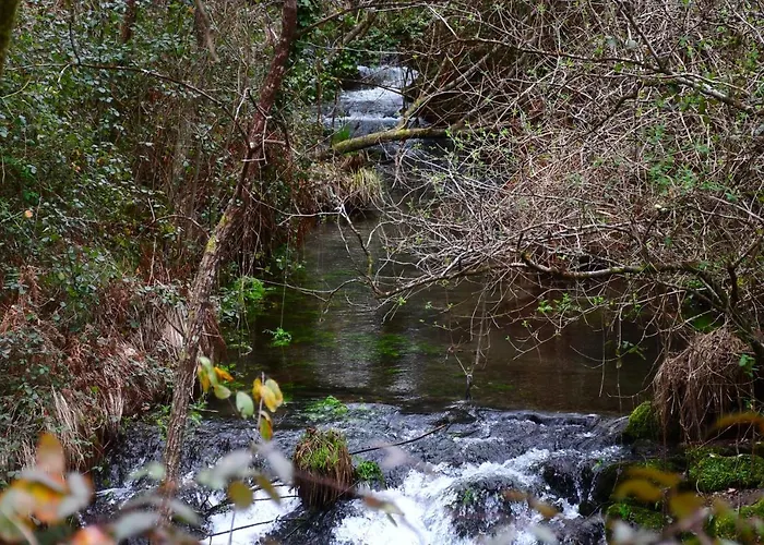 Шале Casinha Rubiaes *