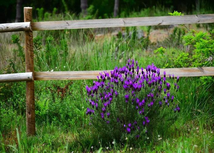 Casinha Rubiaes Paredes de Coura